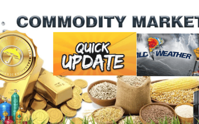 Quick commodity weather and trading idea summary & special cocoa report next Monday evening