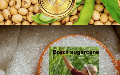BestWeather Spiders, factors affecting soybean price movement, Brazil’s drought & sugar prices