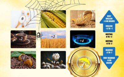 Quick notes & Weather Spider commodity trade sentiment update