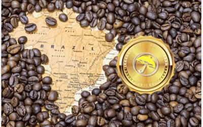 Brazil’s drought breaking for sugar, soybeans & coffee but new reports show irreversible coffee crop damage