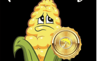 Ahead of Harvest: Why a dry late summer & stronger demand have created a run-up in corn prices