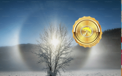 Diving into the Climatic Variables that will Influence US Winter Weather and the Natural Gas Market