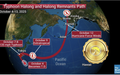 How the Remnants of Historic Alaska Typhoon Halong & Stratospheric Warming Created Short-Covering in Natural Gas