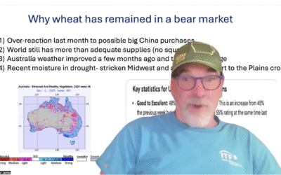 Stratospheric warming, a bitter cold US winter & all about the grain market