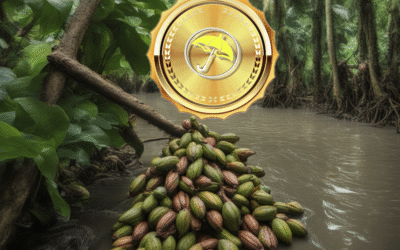 Why cocoa prices may have seen the lows: New weather problems & a possible pick up in demand
