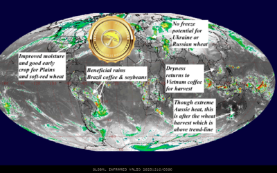 Global Grain Weather Update & Quick Comment About Other Commodities
