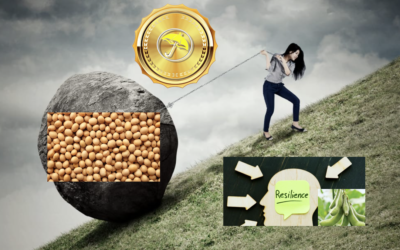 Orange crop damage worsens for Brazil and Florida, sugar prices make new lows, but why are soybean prices resilient?