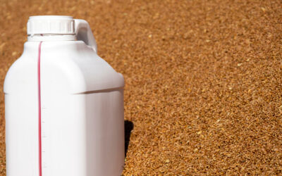 Grain Prices Could Rise,                                                            Due to Weather and Higher Fertilizer Costs