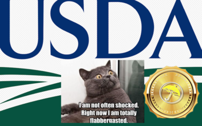 Shock or Status Quo: Inside the Forces Driving Farmers’ 2026 Planting Decisions & Coffee Prices Collapse as Expected