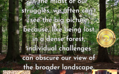 Seeing the commodity forest through the trees of volatile crude oil prices & the Middle East War