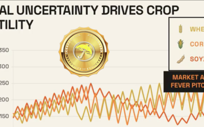 The U.S. Plains Wheat Drought & Conflicting Geopolitical and Climatic Factors Affecting Grain Market Volatility