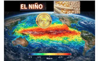 El Niño, Indian Dipole & PDO index: Teleconnections that will influence global grain weather and markets