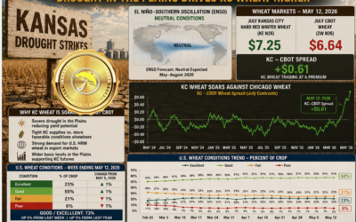 Wheat prices soar on Plains drought and bullish USDA report. What’s coming up & quick commodity review