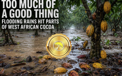 El Niño talk and heavy West African rains help cocoa prices