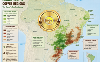 Unusual N. Brazil heavy rains coming: Potential impacts to soft commodities and what to do