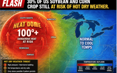 Updated Corn/Soybean Belt Weather: Models are hotter and drier for the western corn belt next week