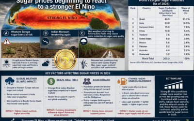 El Niño & Sugar: Increasing global weather problems finally help prices