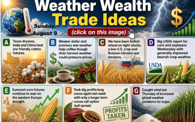 Updated Commodity Trade Ideas