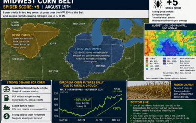 Grains move higher, Cocoa hits support, Natural Gas sold off, and… Our Most Recent Bullish Weather Spiders