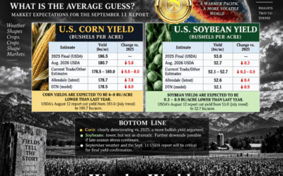 Sept. 11th USDA Crop Report Preview for Corn, Soybeans & Cotton, Wheat Comments, and Australian Weather Update