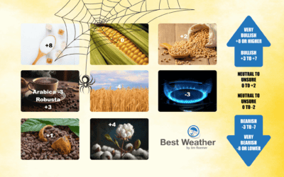 WeatherWealth Trade Ideas