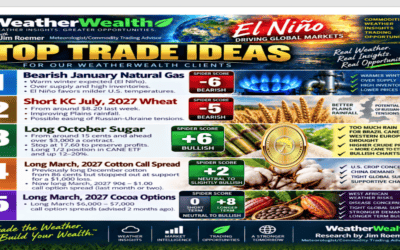 How stronger crude prices, inflation fears, & El Niño are affecting trade ideas in grains, soft commodities, and natural gas