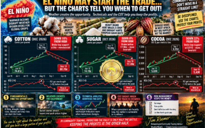 From El Niño Euphoria to Commodity Sell-Off: A Lesson in Risk Management