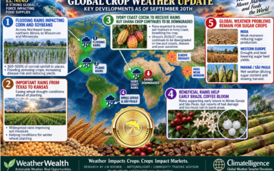 Crop Weather Update and Trade Ideas