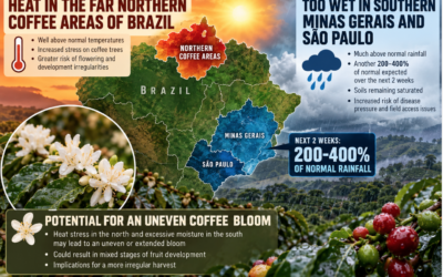 Coffee Market Soars on Brazil Weather Concerns