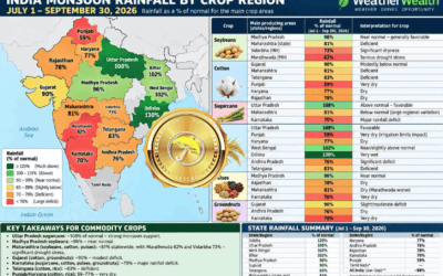 Did the weak Indian Monsoon add to the collapse in silver prices, and which crops are being adversely affected?