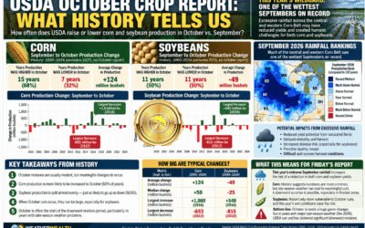 Corn & Soybeans: Lessons from past October crop reports & South American weather discussion
